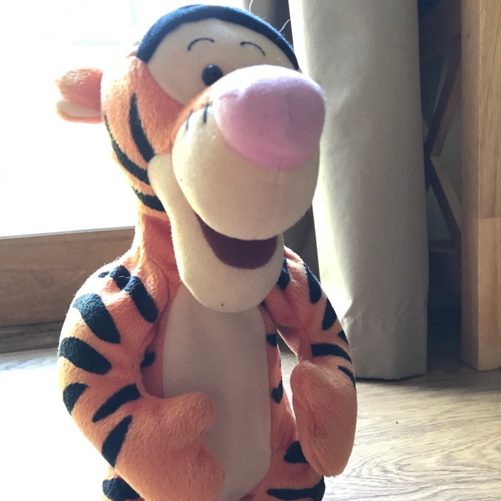 Bouncing Tigger the tiger.  from Winnie the Pooh.